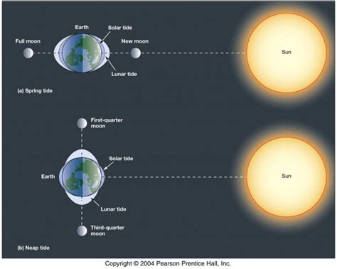 Neap Tide Diagram