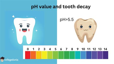 Importance of pH in Everyday Life: Explanation & Examples