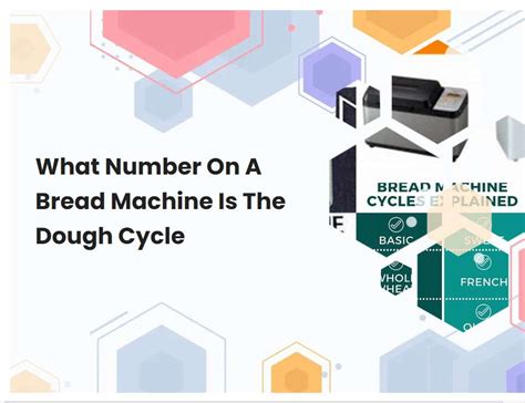 What Number On A Bread Machine Is The Dough Cycle | breadmach.com