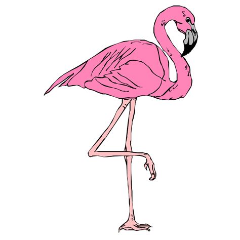 Flamingo Black And White SVG