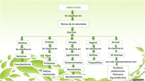 Los seres vivos: Clasificación de los seres vivos