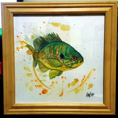 Pumpkinseed Sunfish Watercolor Pencil Painting or Print | Etsy