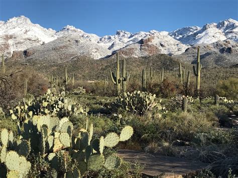 Sabino Canyon In The Snow | Quiet Moon Photography