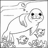 Seal Coloring Sheet Pages sketch template