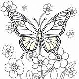 Butterfly Coloring Pages  Free PDF Printables Xcoloring sketch template