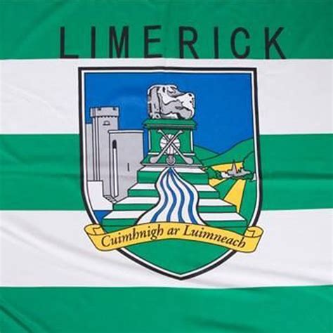 Official Limerick GAA Flag | Flags2u