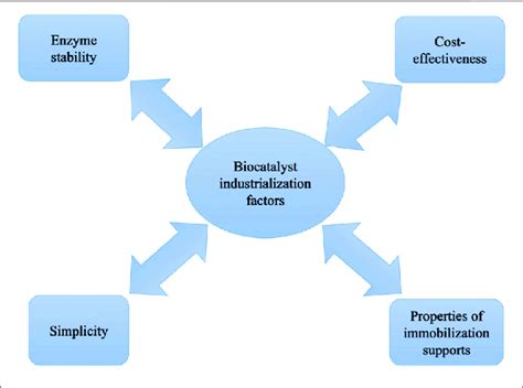 | Important factors to be considered in biocatalyst design and synthesis. | Download Scientific ...