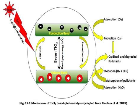 1 Mechanism of TiO2 based-photocatalysis (adapted from Goutam et al. 2018) | Download Scientific ...