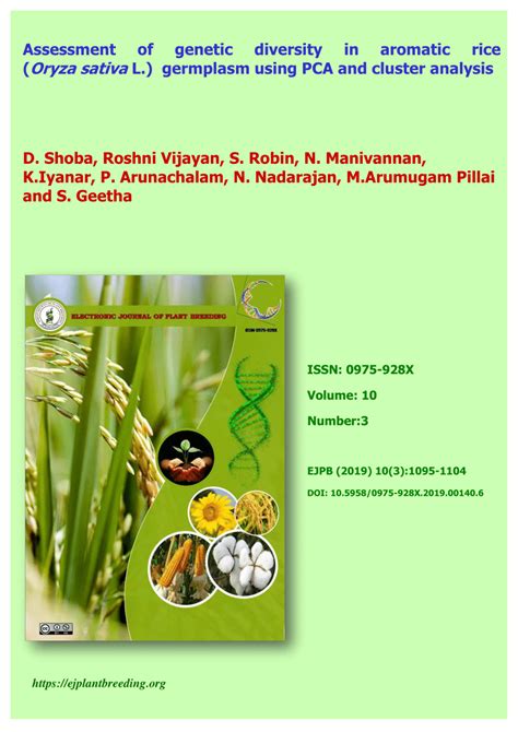 (PDF) Assessment of genetic diversity in aromatic rice ( Oryza sativa L ...