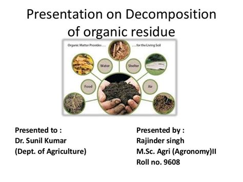 Decomposition of organic residue