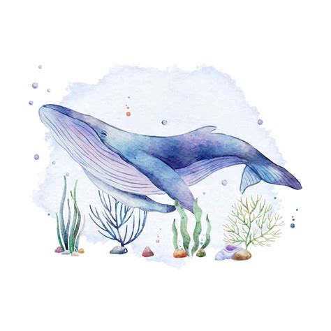 Premium Vector | Cute whale and sea plants under the sea watercolor ...