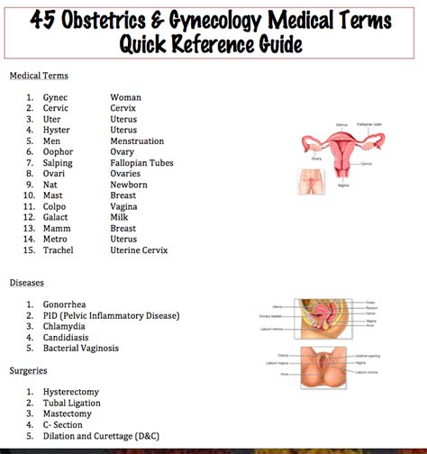 Easy Medical Terminology : 45 Obstetrics & Gynecology Medical Terms ...