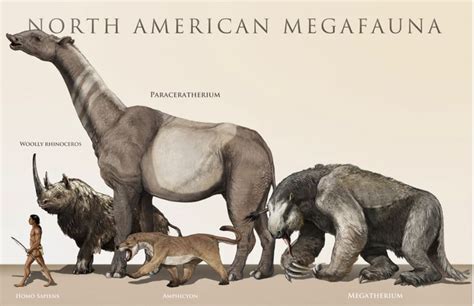 Megafauna of the Pleistocene: A Size Comparison