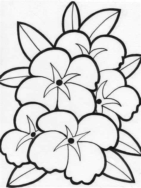 Flower Printable Coloring Pages - Flower Coloring Page