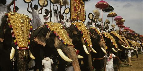 Don't Torture Elephants in the Name of Religion | Sangita Iyer