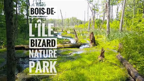 Bois de l'Île Bizard Nature Park 2017 - YouTube