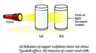 Is Milk A Colloid? Why? - Techiescientist