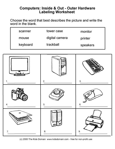 10 Computer Parts Labeling Worksheet Answers / worksheeto.com