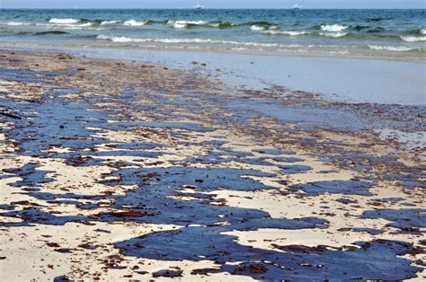 Effects of Oil Spills on Marine & Human Life - American Oceans