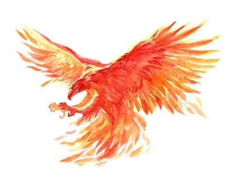 Phoenix Symbolism: 10 Spiritual Meanings of Phoenix