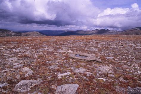 File:RMNP Trail Ridge Road Tundra.jpg - Wikimedia Commons