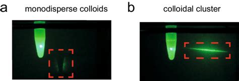 Optical properties of the colloidal solution. (a) Colloids are... | Download Scientific Diagram