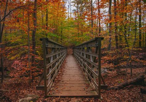 The Best Places to See Fall Foliage in Northeast Ohio