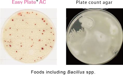 Easy Plate - Aerobic Bacteria (AC) - FMCG FMCG