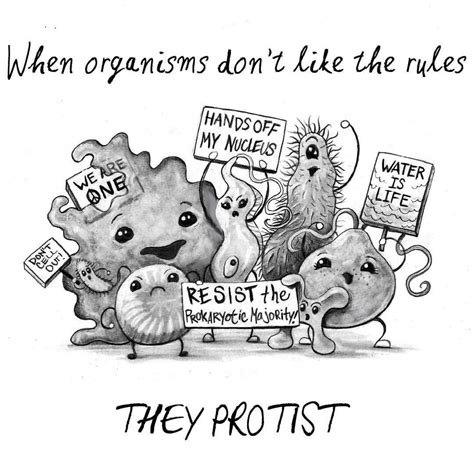 The only thing I like more than puns are biology-related puns. #protest #protist #biology ...