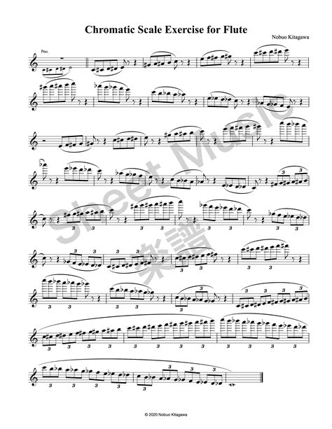 Chromatic Scale Exercise for Flute (sheet music) フルートの為の半音階練習曲（楽譜 ...