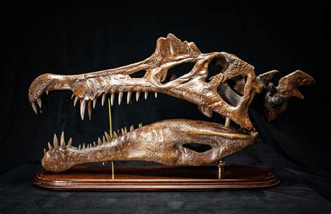 Big Spinosaurus Aegyptiacus 1915 Skull Replica Sculpture With - Etsy UK