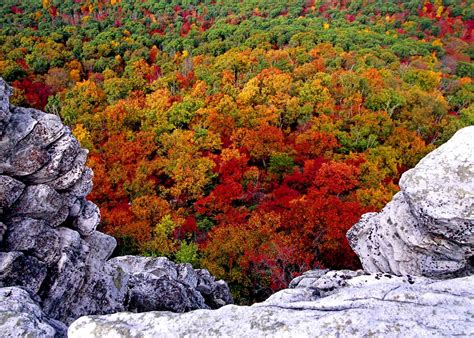 🔥 [50+] West Virginia Scenery Wallpapers | WallpaperSafari