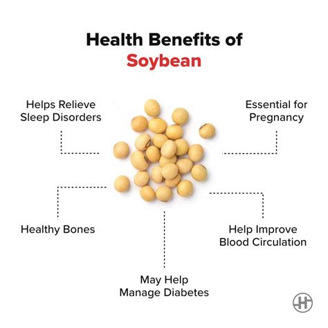 Soybean - Benefits, Nutrition Value & Recipes - HealthifyMe