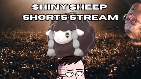 #shorts LIVE - SHINY SHEEP SHORTS STREAM w/ EMILY // Pokemon Sword and ...