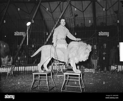 Lion tamer with lion at Circus Jos Mullens Date: October 26, 1950 ...