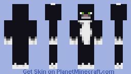 Minecraft-Black Cat Minecraft Skin