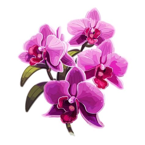 Premium Vector | Orchid vector on white background