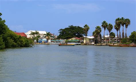 Download free photo of Black river,black river safari,river,nature,beautiful - from needpix.com