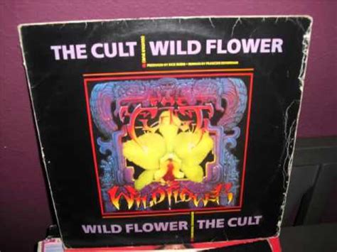 The Cult-Wild Flower (extended rock mix) - YouTube