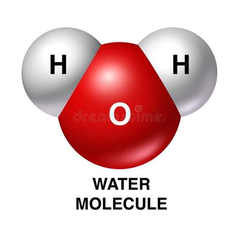 Water Molecule H2o Isolated Oxygen Hydrogen