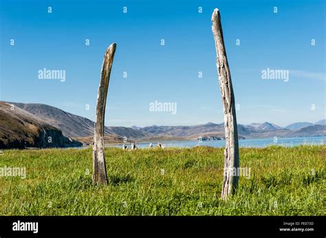 Whale Bone Alley, Ittygran Island, Chukotka, Russia Stock Photo - Alamy