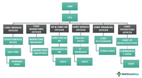 Organizational Structure Definition, Types, Examples, What, 58% OFF