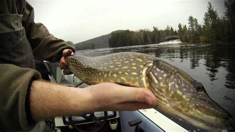 Fishing Adirondacks Tupper Lake, NY | Adirondack Lakes Region - YouTube