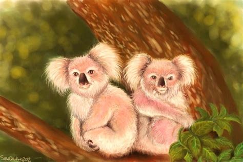 Pink Koala by FiabeSCa on DeviantArt