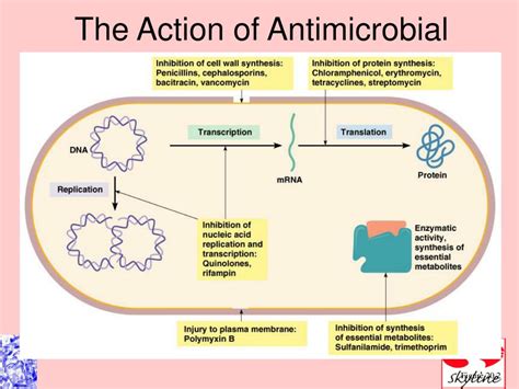 PPT - Antimicrobial Drugs PowerPoint Presentation, free download - ID:410797