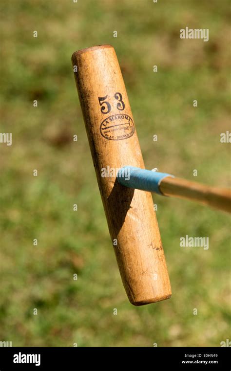 Wooden polo mallet head showing size Stock Photo - Alamy