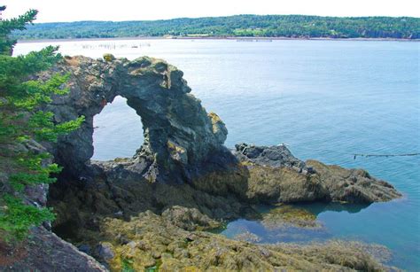 A Visit to Grand Manan Island, New Brunswick - Hike Bike Travel