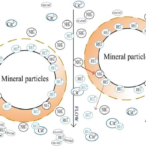 (PDF) Leaching Kinetics of Weathered Crust Elution-Deposited Rare Earth Ore with Compound ...