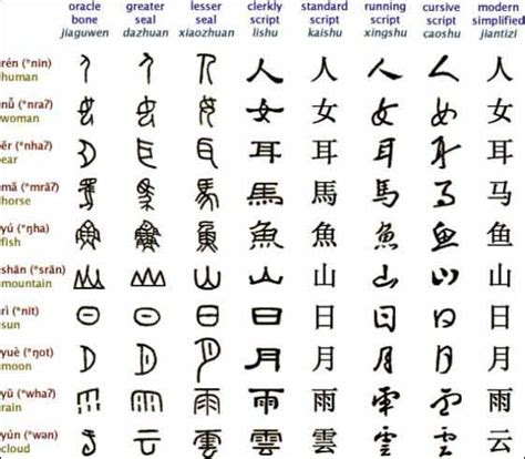 Chinese Scripts and Symbols