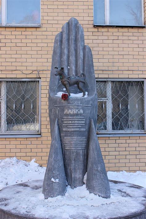 Laika - Wikipedia, the free encyclopedia | Space dog, Soviet space dogs, Space animals